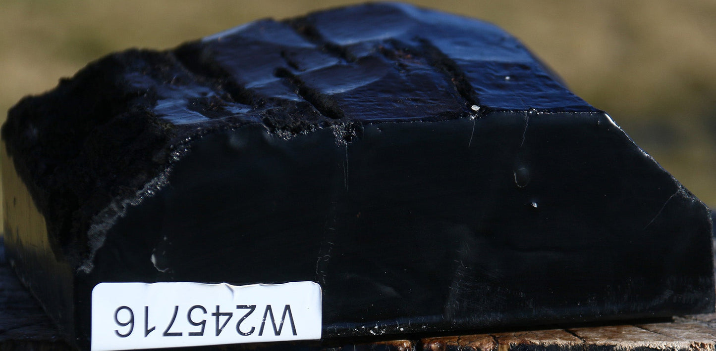 Gabon Ebony Half Log