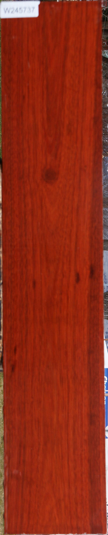 Bloodwood Lumber
