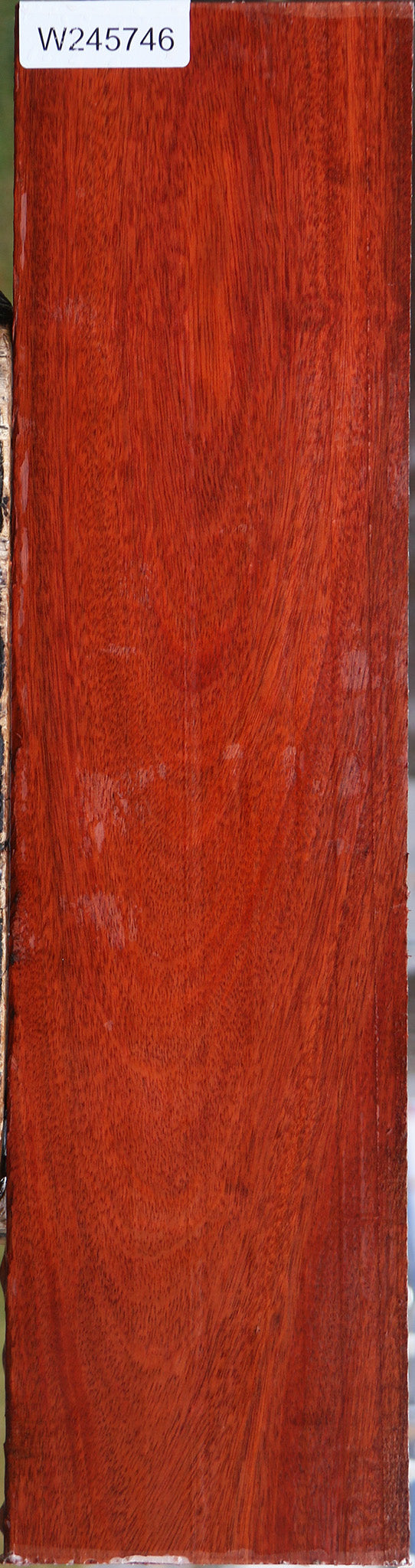 Bloodwood Lumber