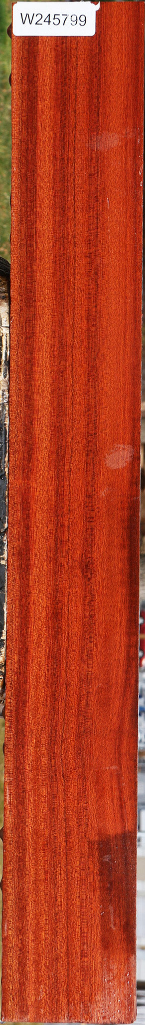 Extra Fancy Bloodwood Lumber