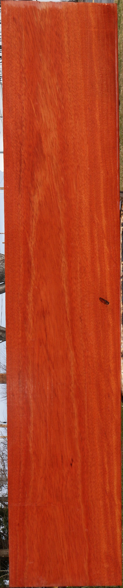Bloodwood Lumber