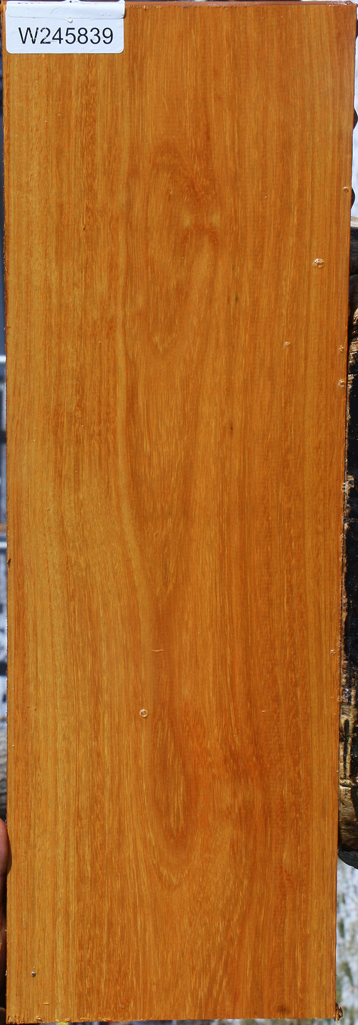 Argentine Osage Orange Lumber