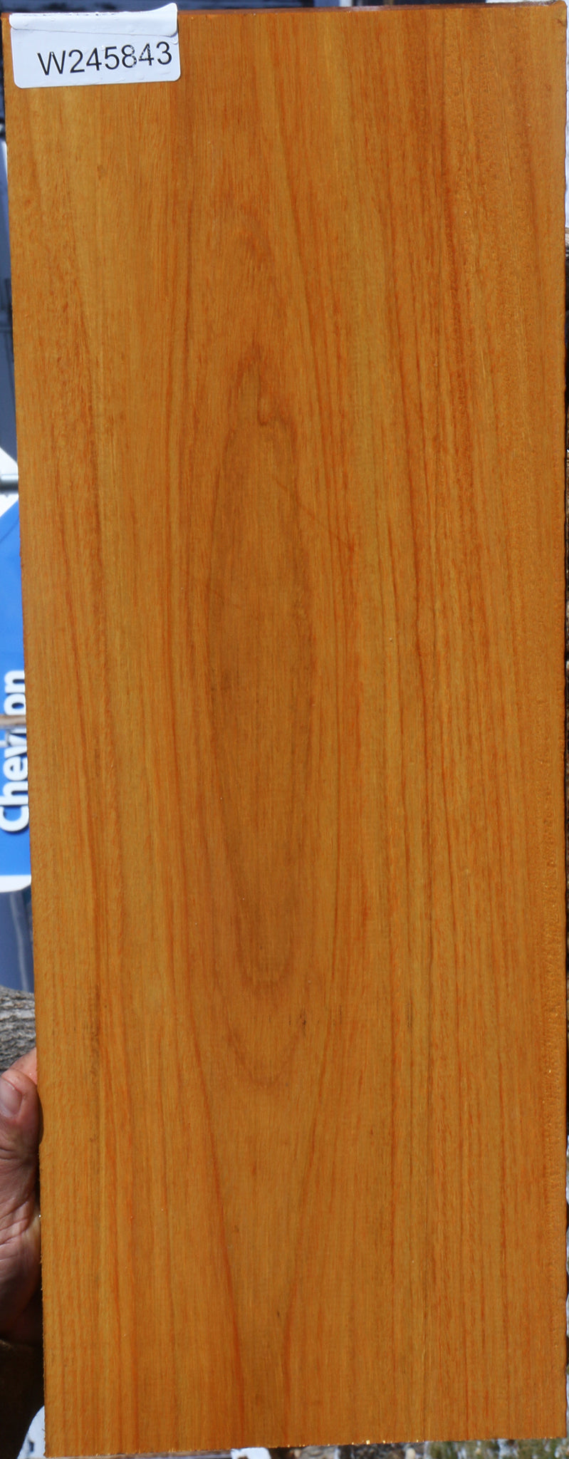 Argentine Osage Orange Lumber