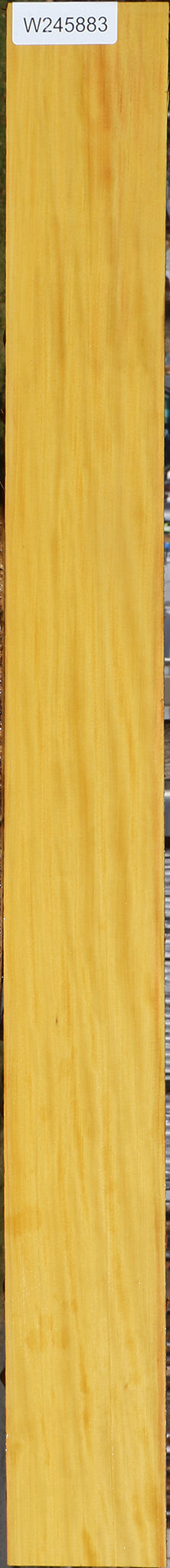 Extra Fancy Kirandy Lumber