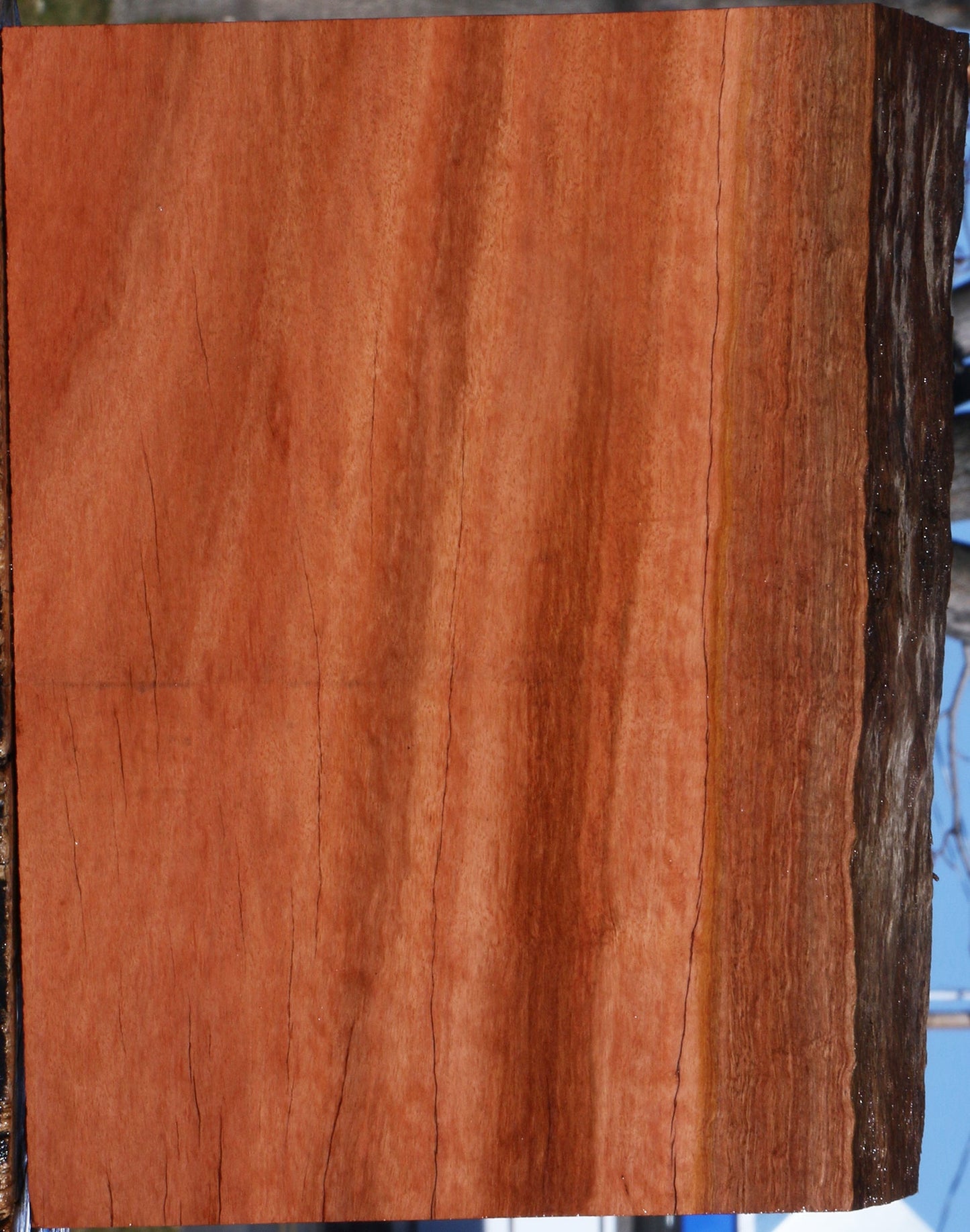Red Ironbark Live Edge Lumber