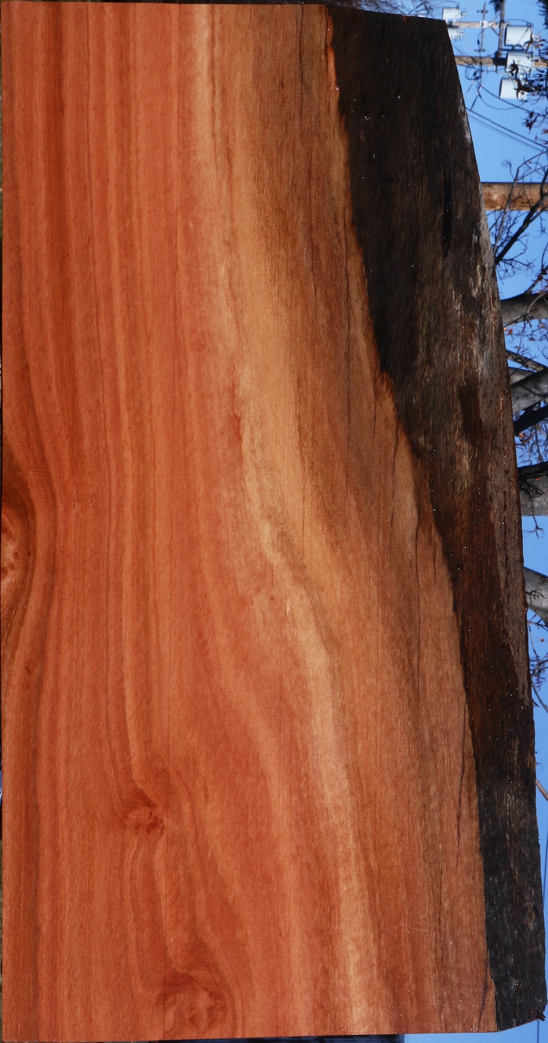 Figured Red Ironbark Live Edge Lumber