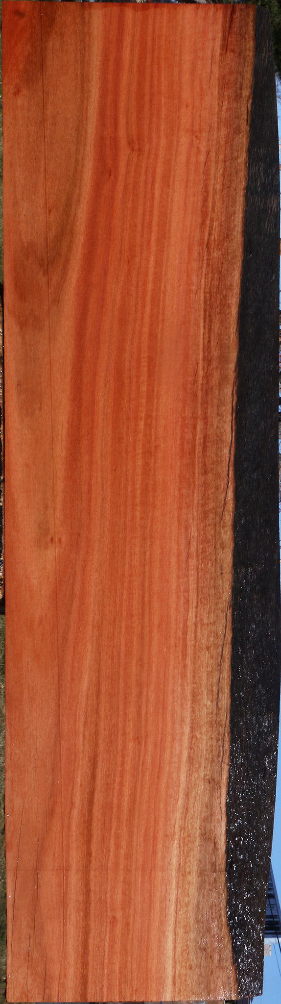 Red Ironbark Live Edge Lumber