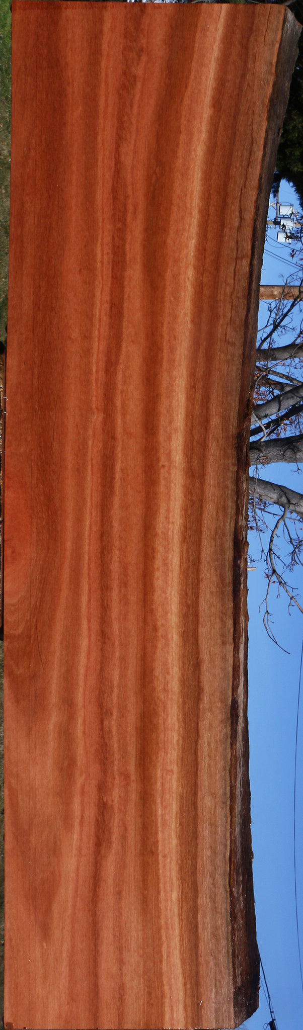 Red Ironbark Live Edge Lumber