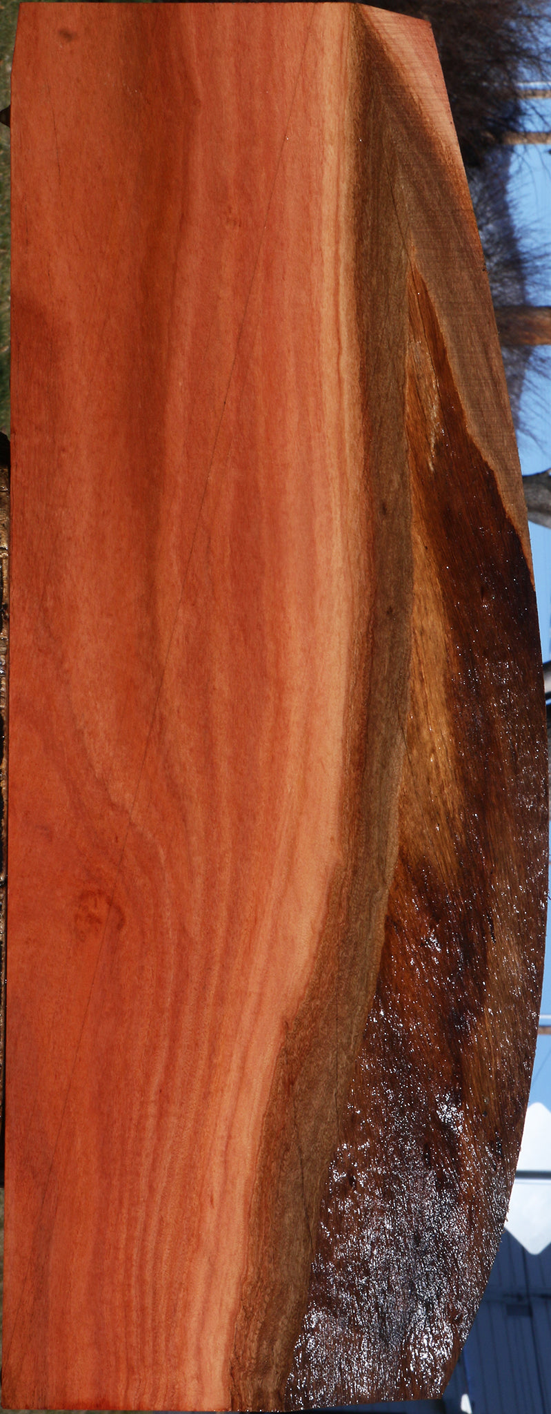 Figured Red Ironbark Live Edge Lumber