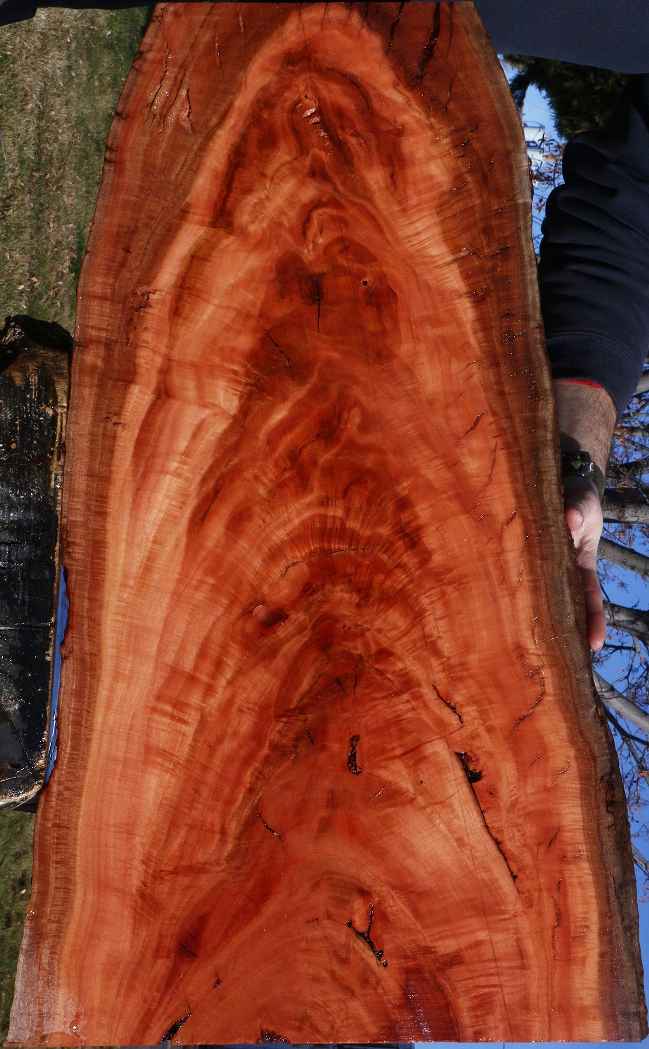 Extra Fancy Red Ironbark Live Edge Lumber