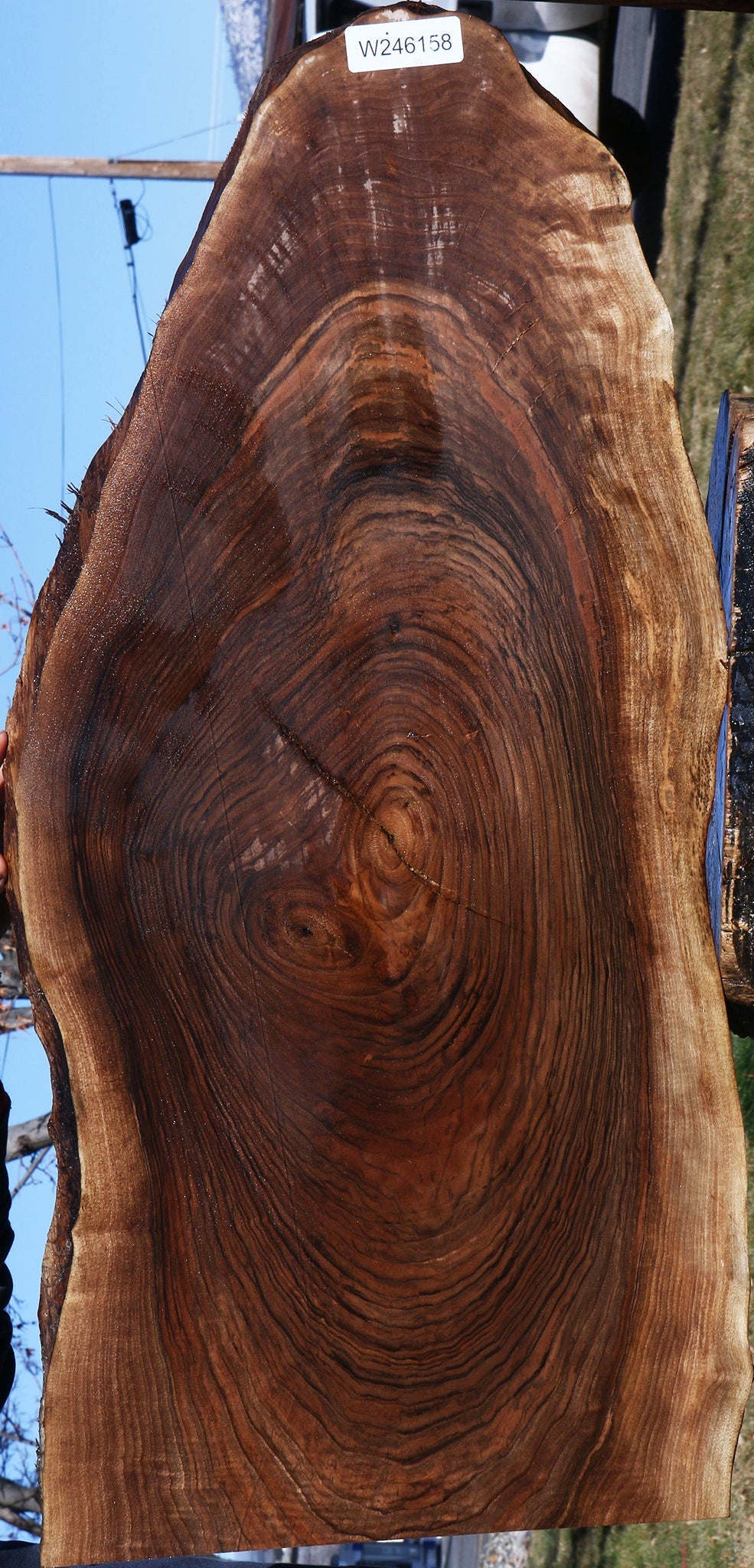 Figured English Walnut Live Edge Lumber
