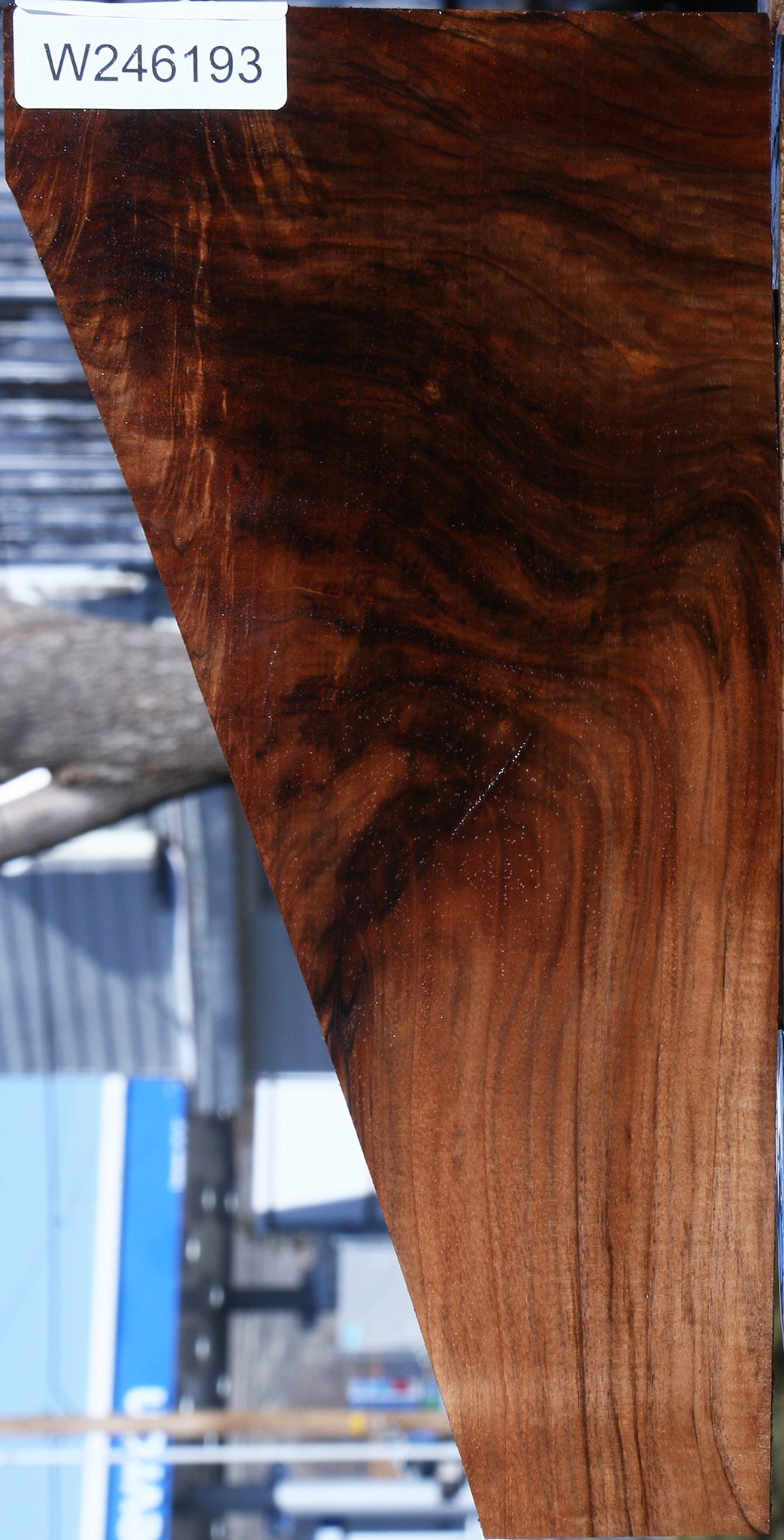 Figured English Walnut Lumber