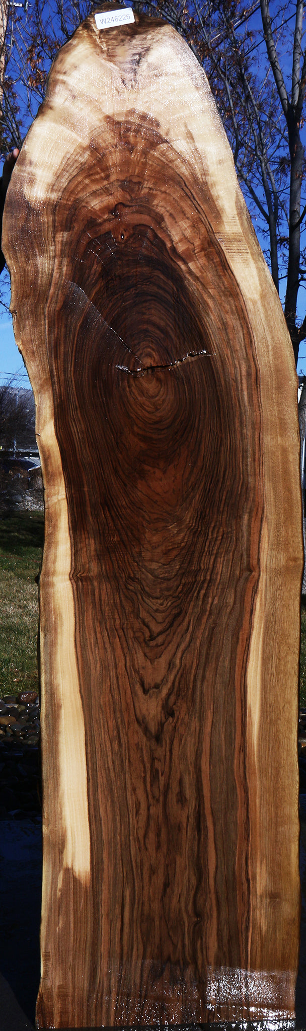 English Walnut Live Edge Lumber (Free Shipping Excluded)