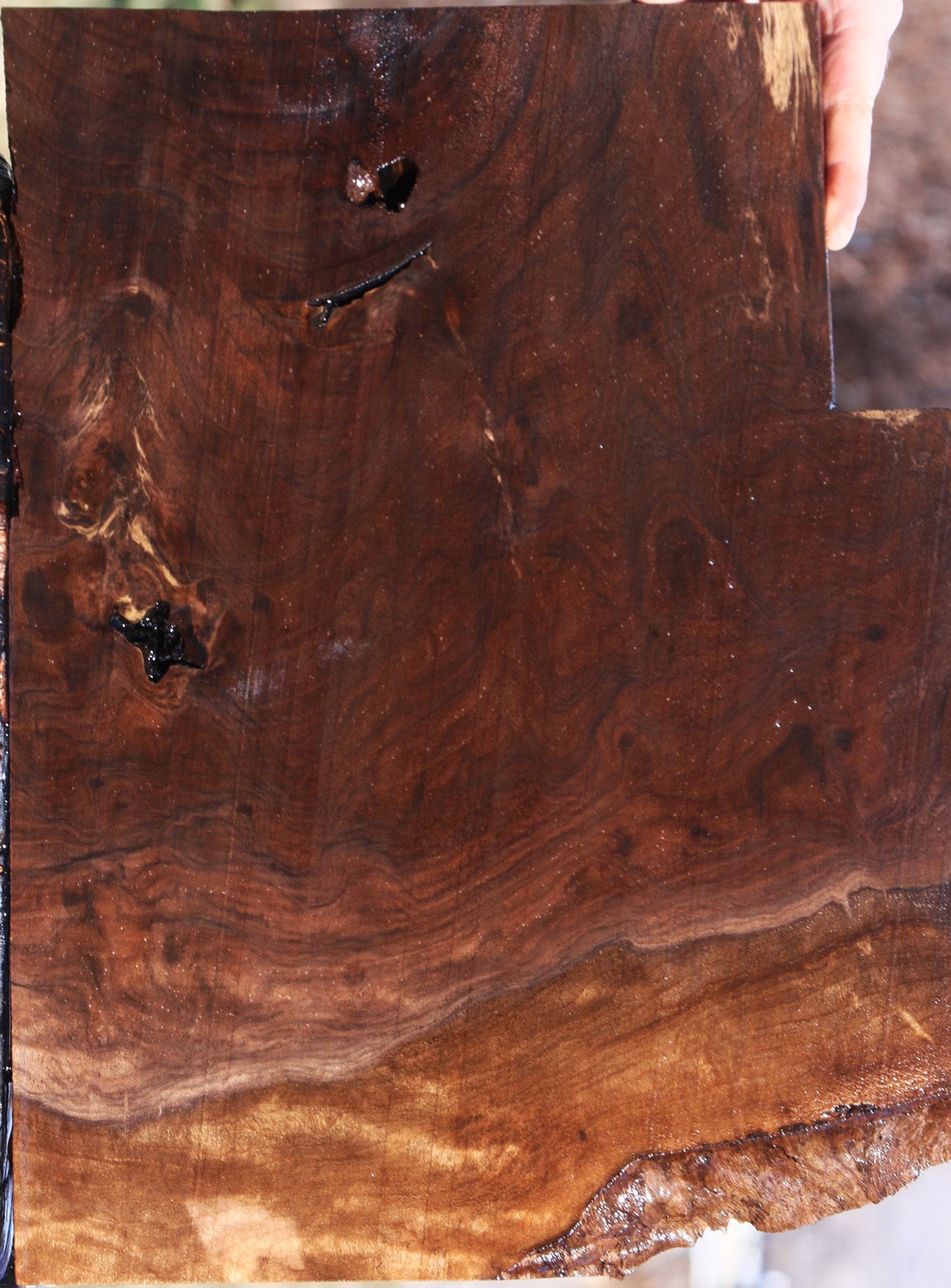 Extra Fancy Claro Walnut Lumber