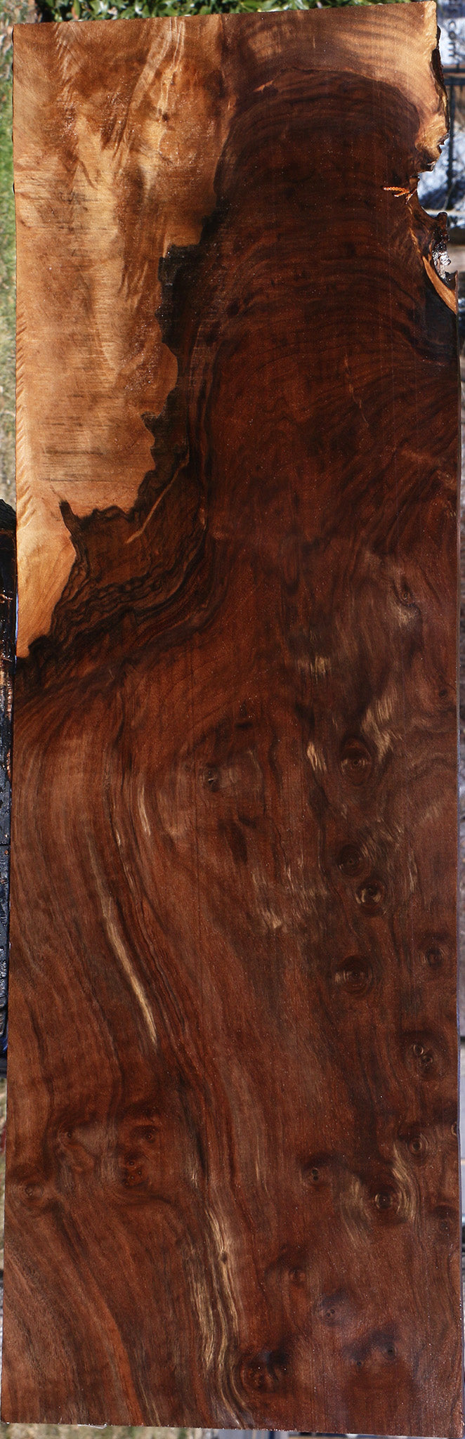 Extra Fancy Grafted Claro Walnut Lumber