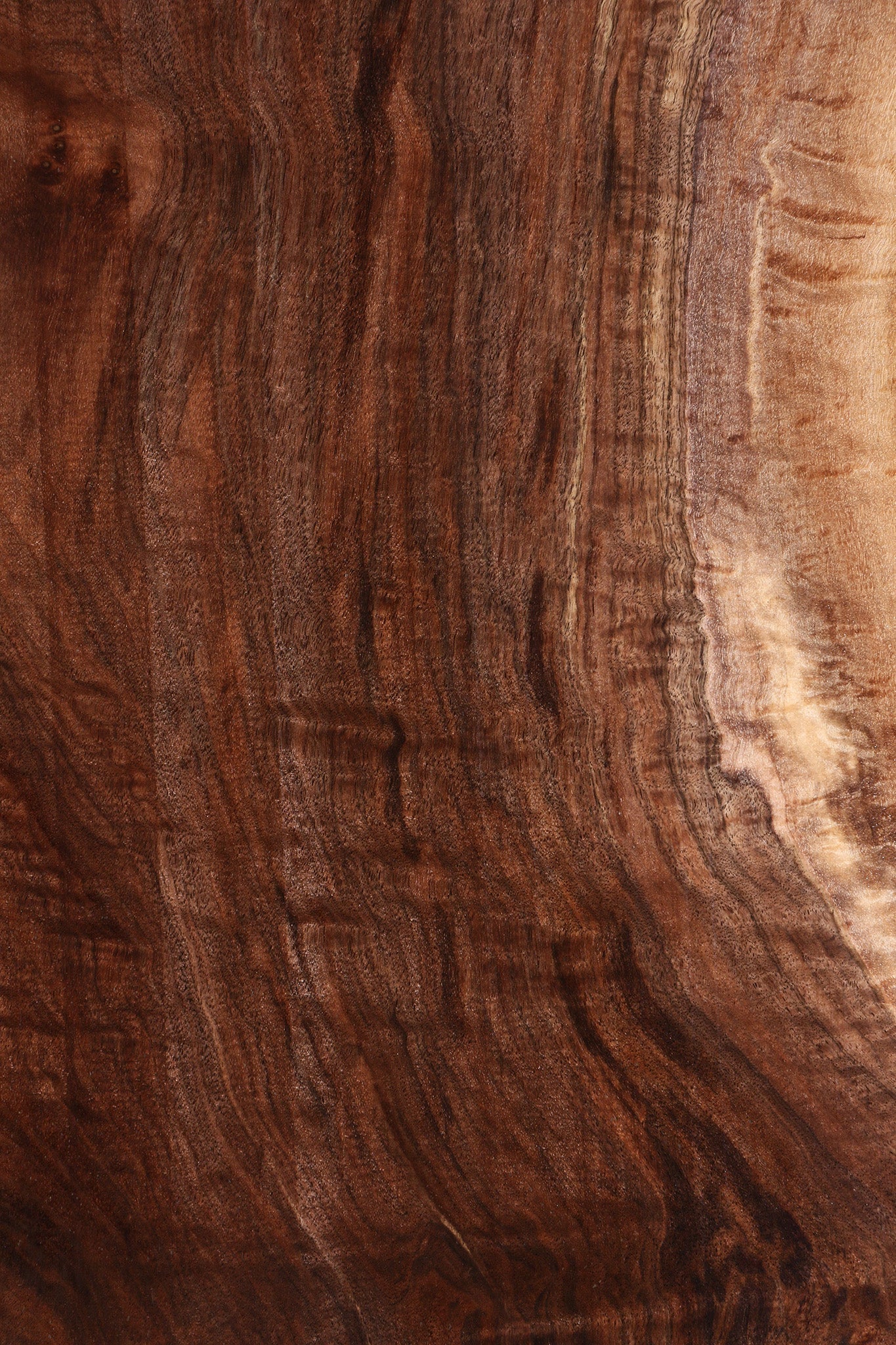 Extra Fancy Claro Walnut Instrument Lumber