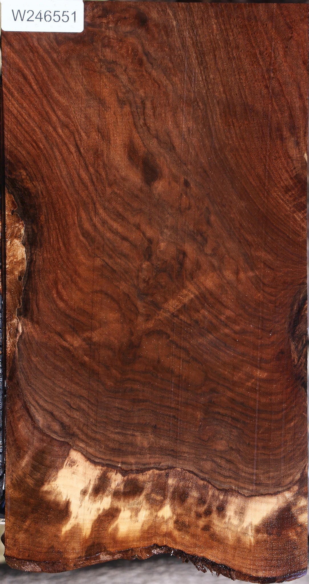 Extra Fancy Claro Walnut Live Edge Lumber