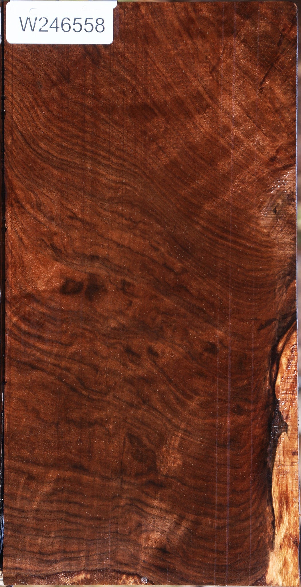 Extra Fancy Crotchwood Claro Walnut Lumber