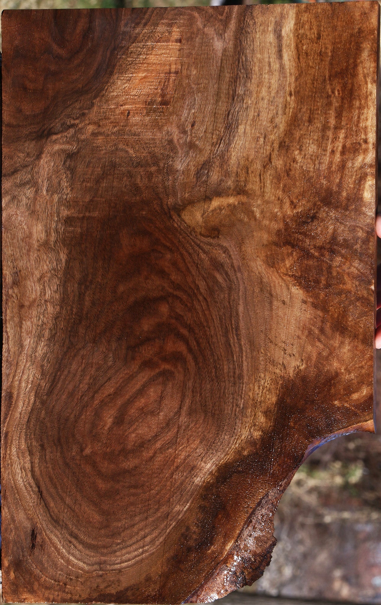 Figured Claro Walnut Lumber