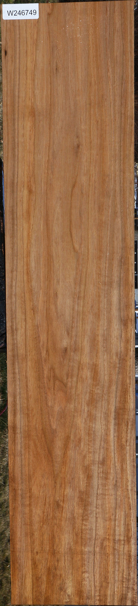 Butternut Lumber