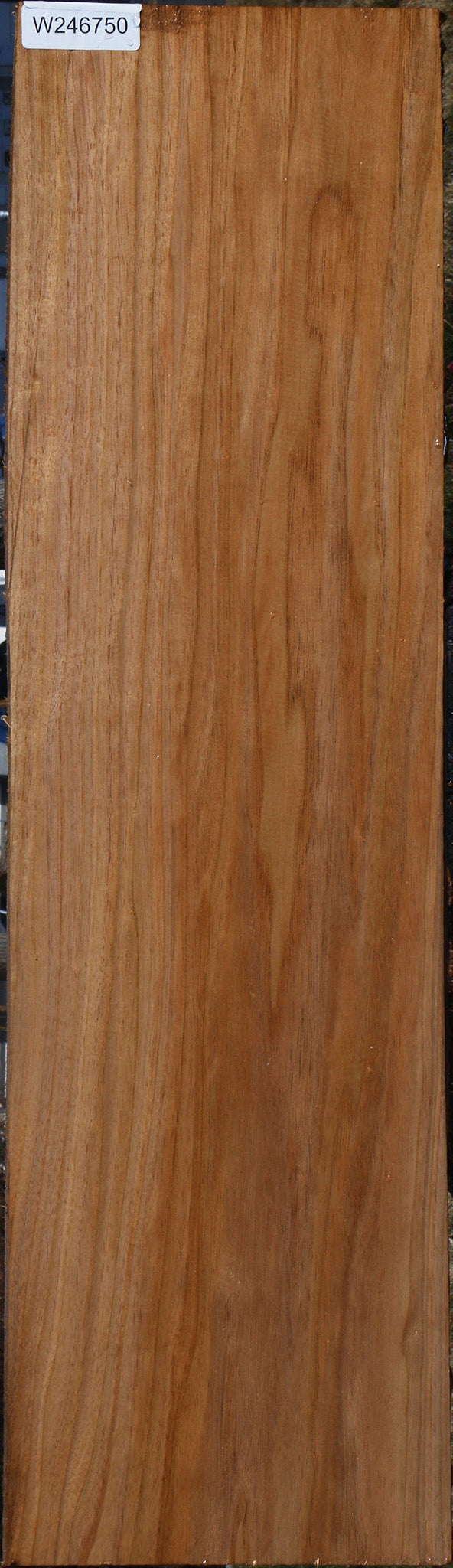 Butternut Lumber