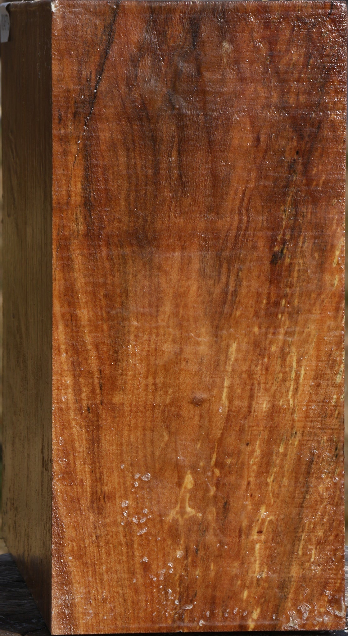 Figured Maple Bowl Blank
