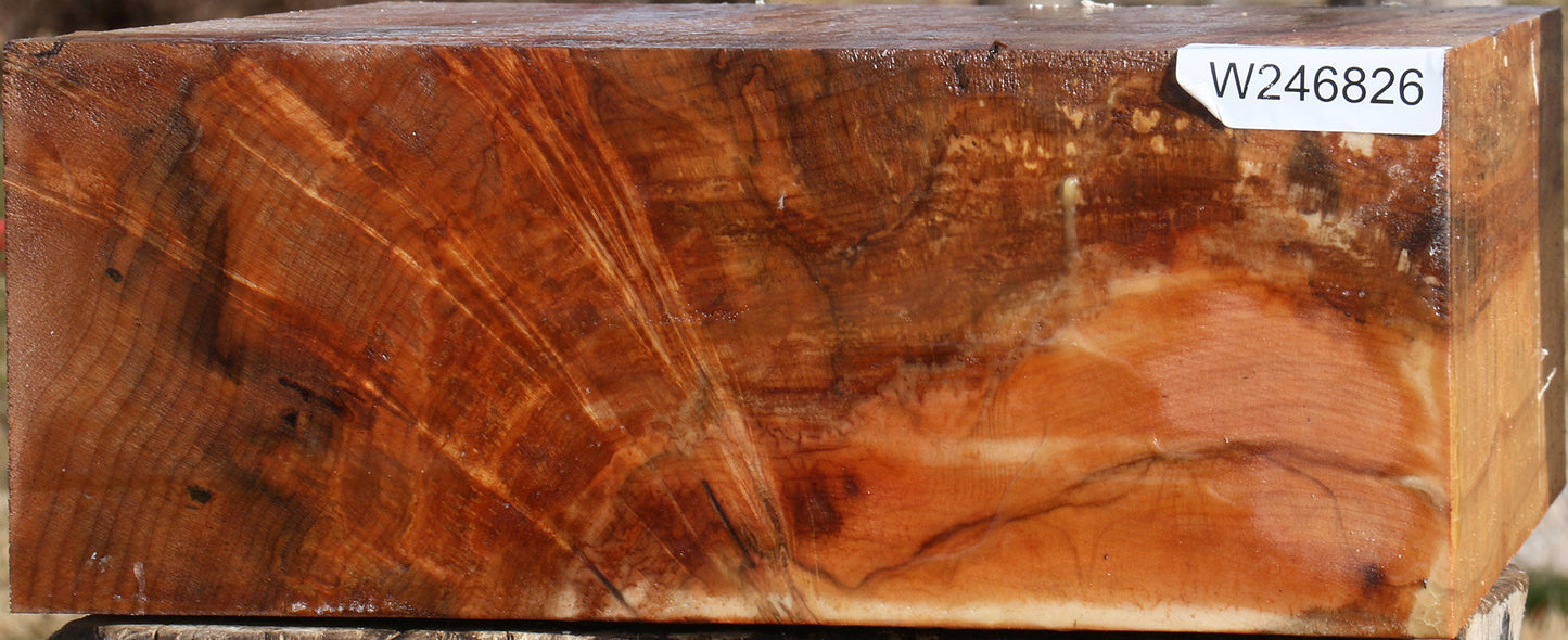 Figured Maple Bowl Blank