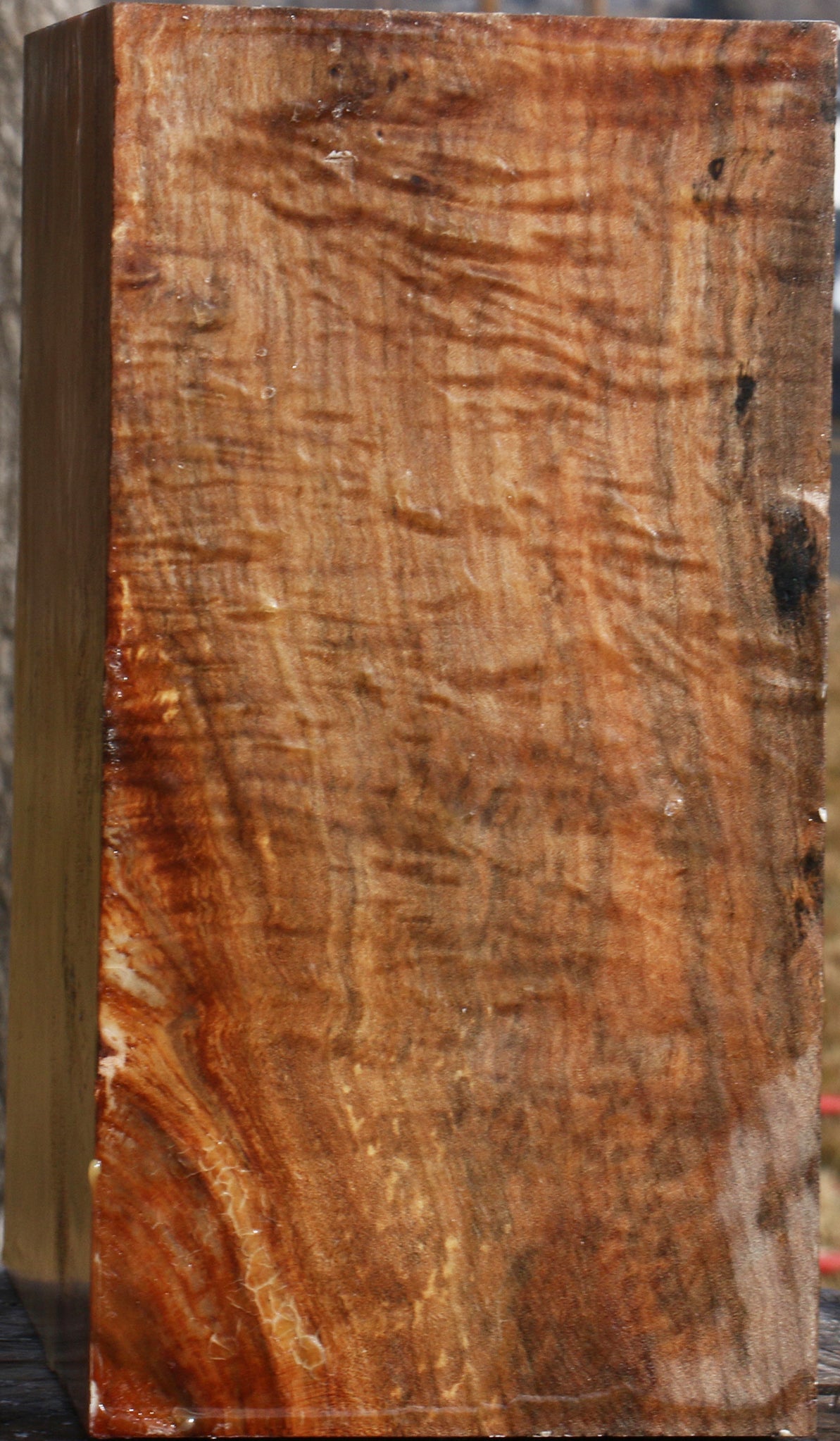 Figured Maple Bowl Blank