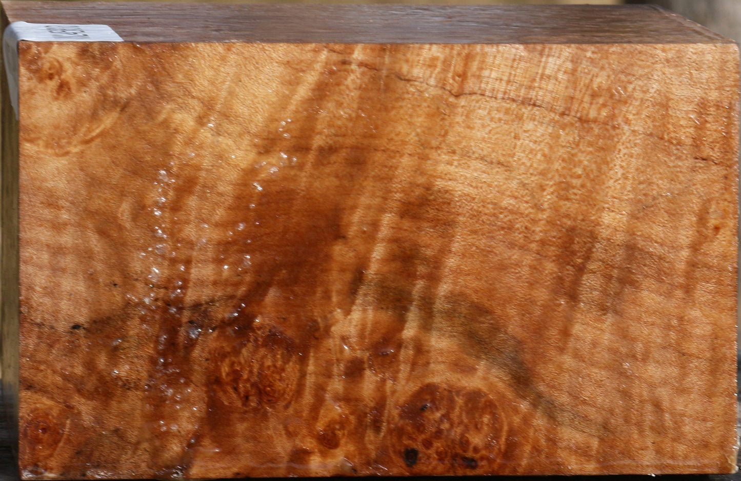 Extra Fancy Maple Bowl Blank