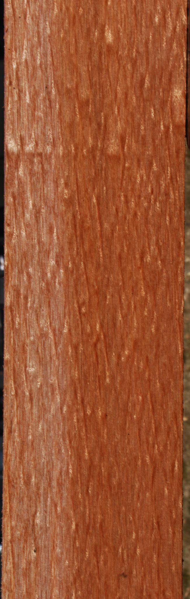 Extra Fancy Okoume Lumber