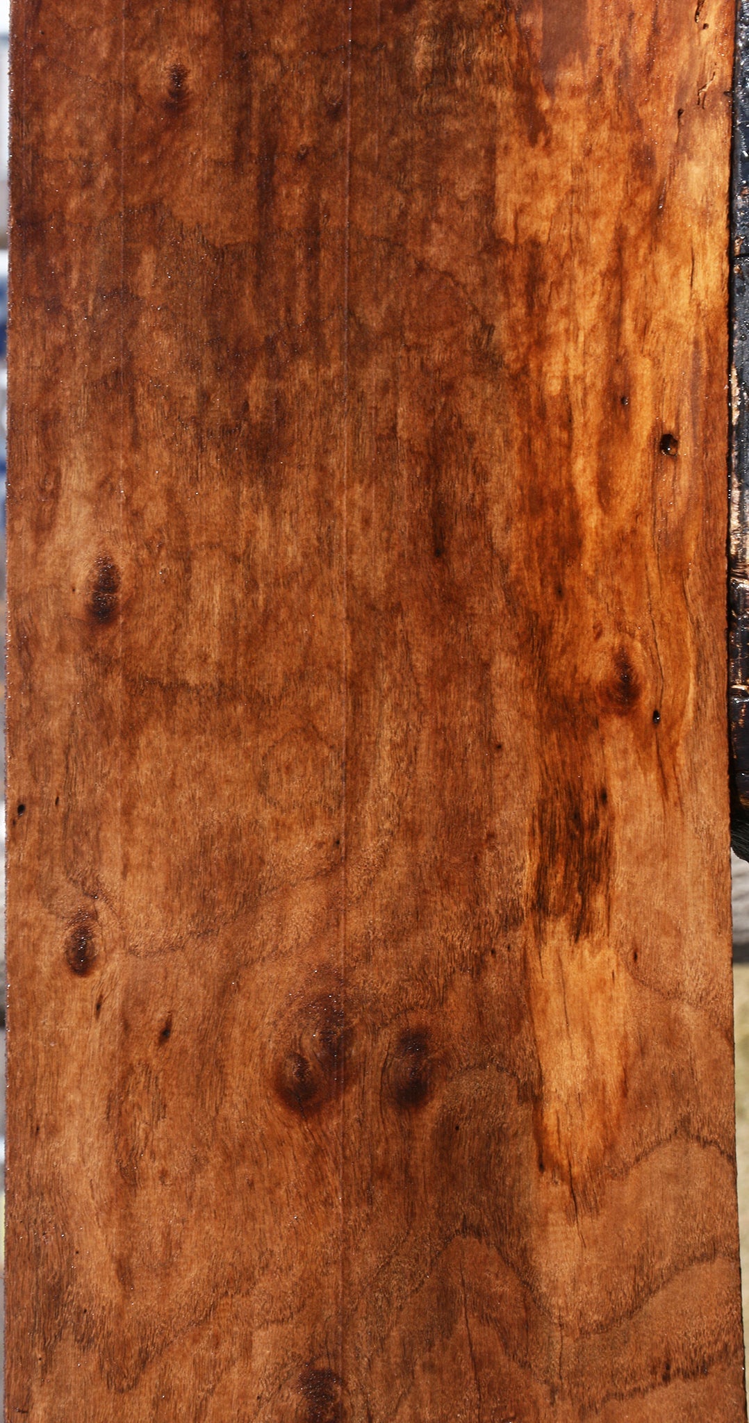 Claro Walnut Lumber