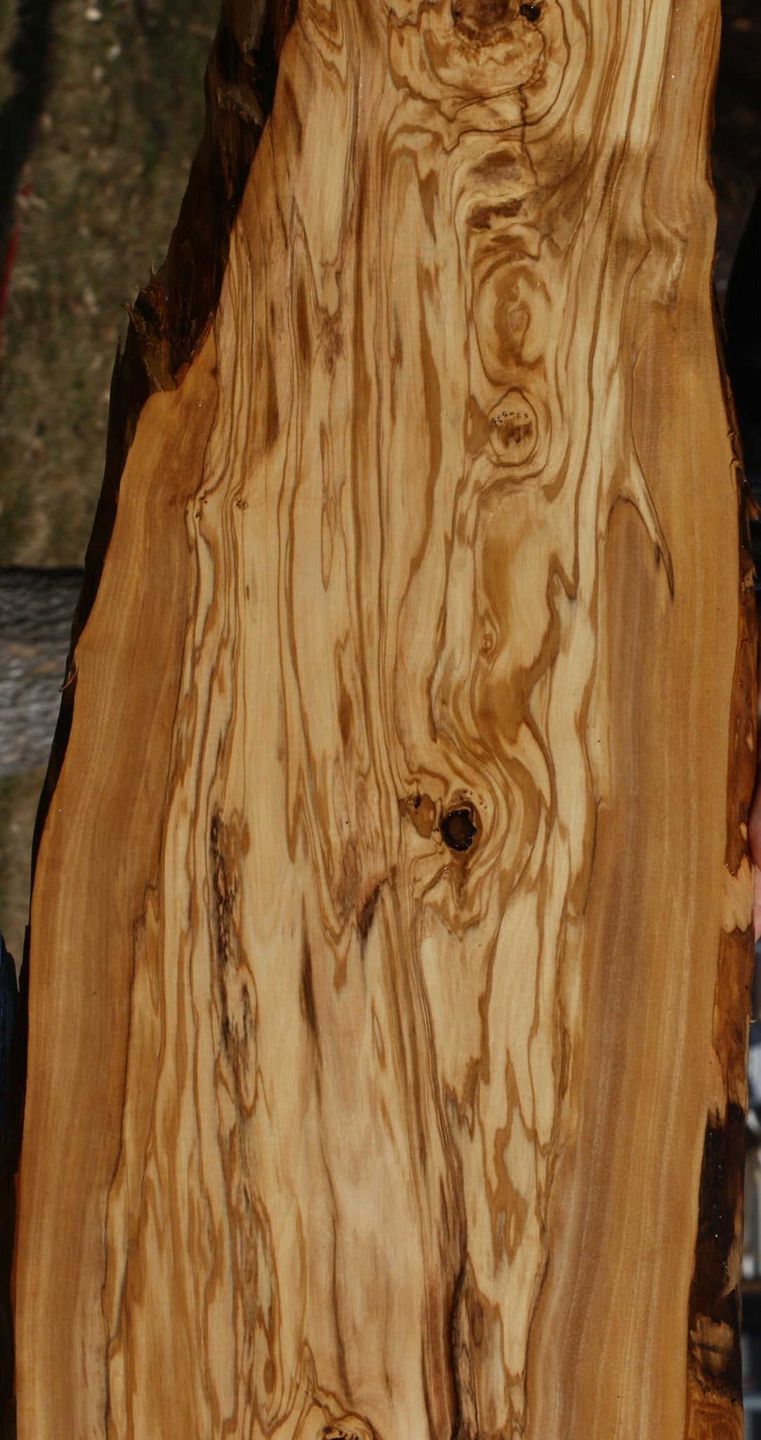 Figured Rustic Italian Olive Live Edge Lumber