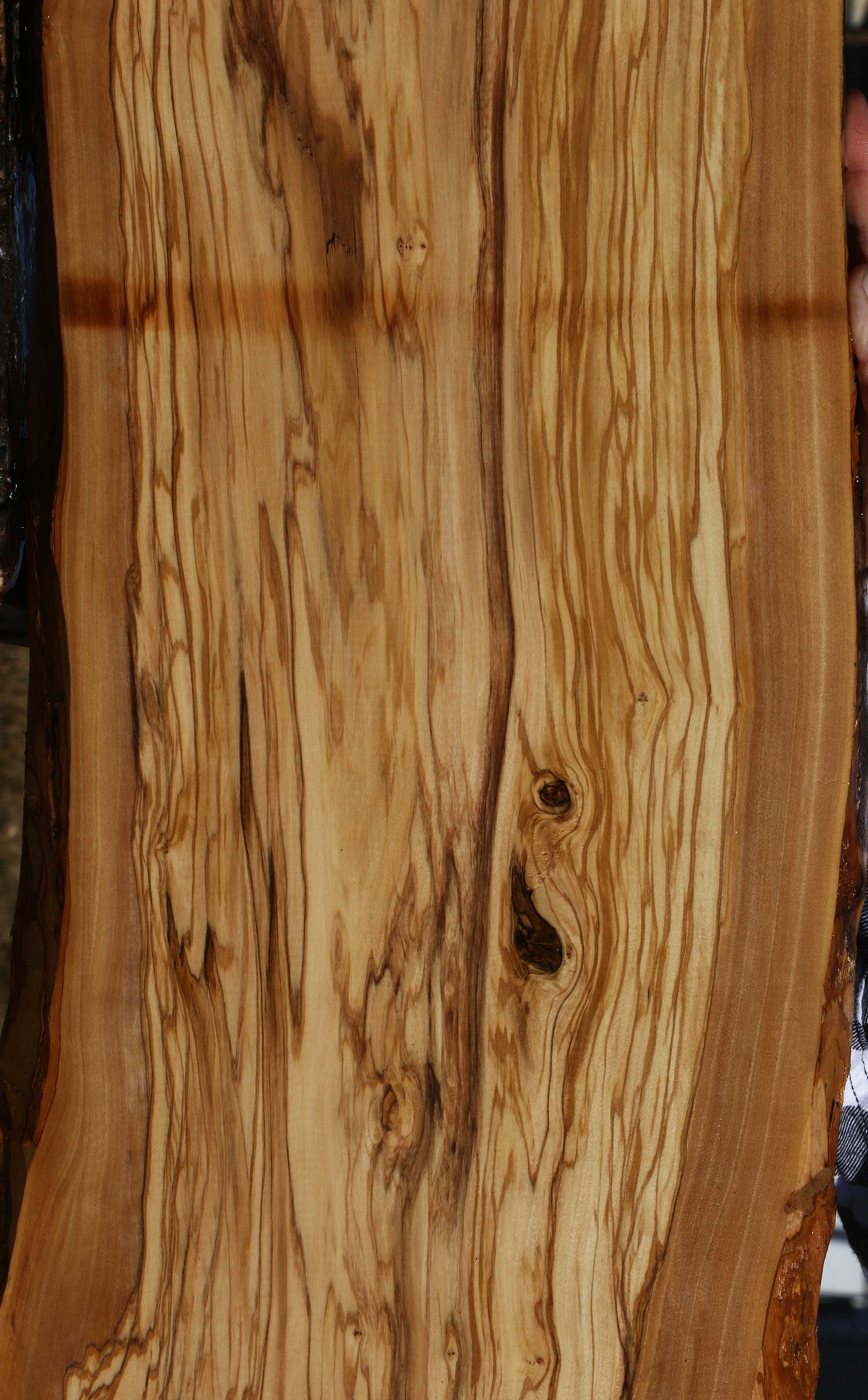 Italian Olive Live Edge Lumber
