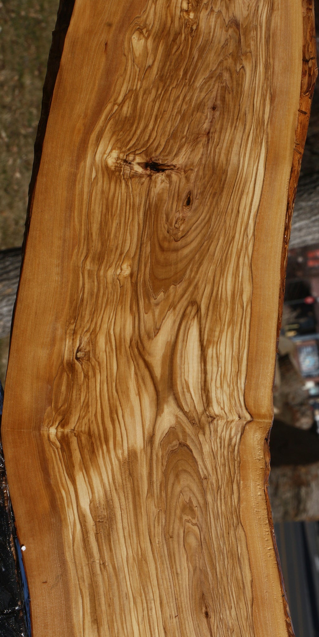 Figured Italian Olive Live Edge Lumber