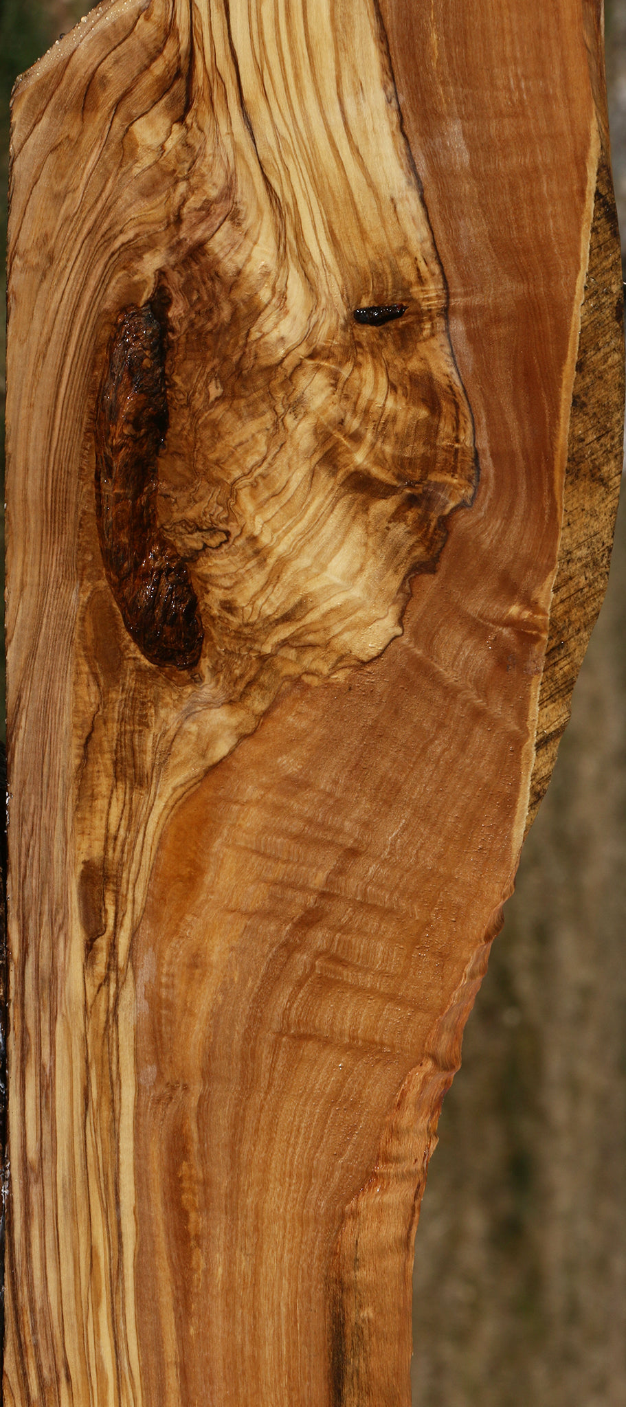 Figured Italian Olive Live Edge Lumber