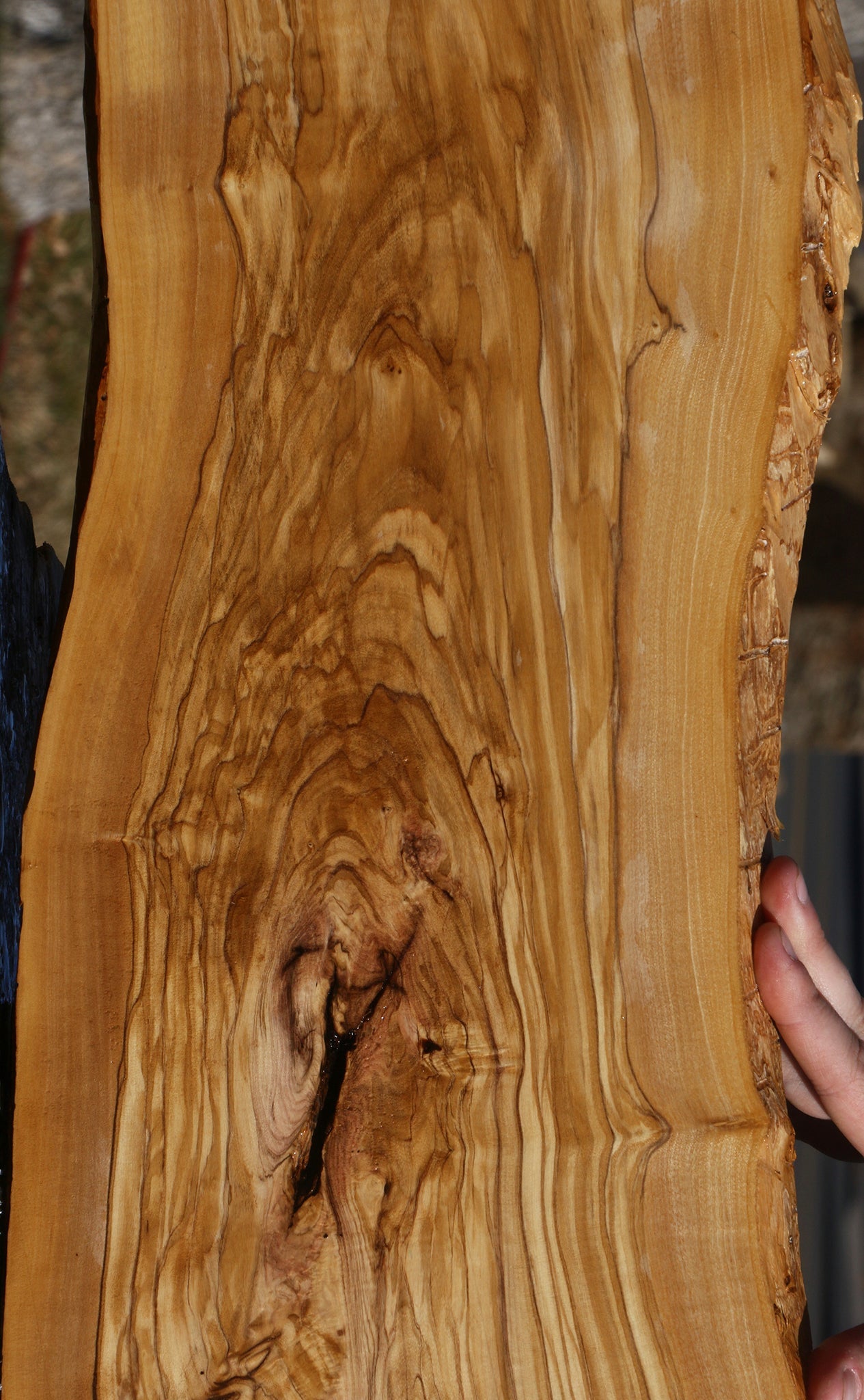 Figured Rustic Italian Olive Live Edge Lumber