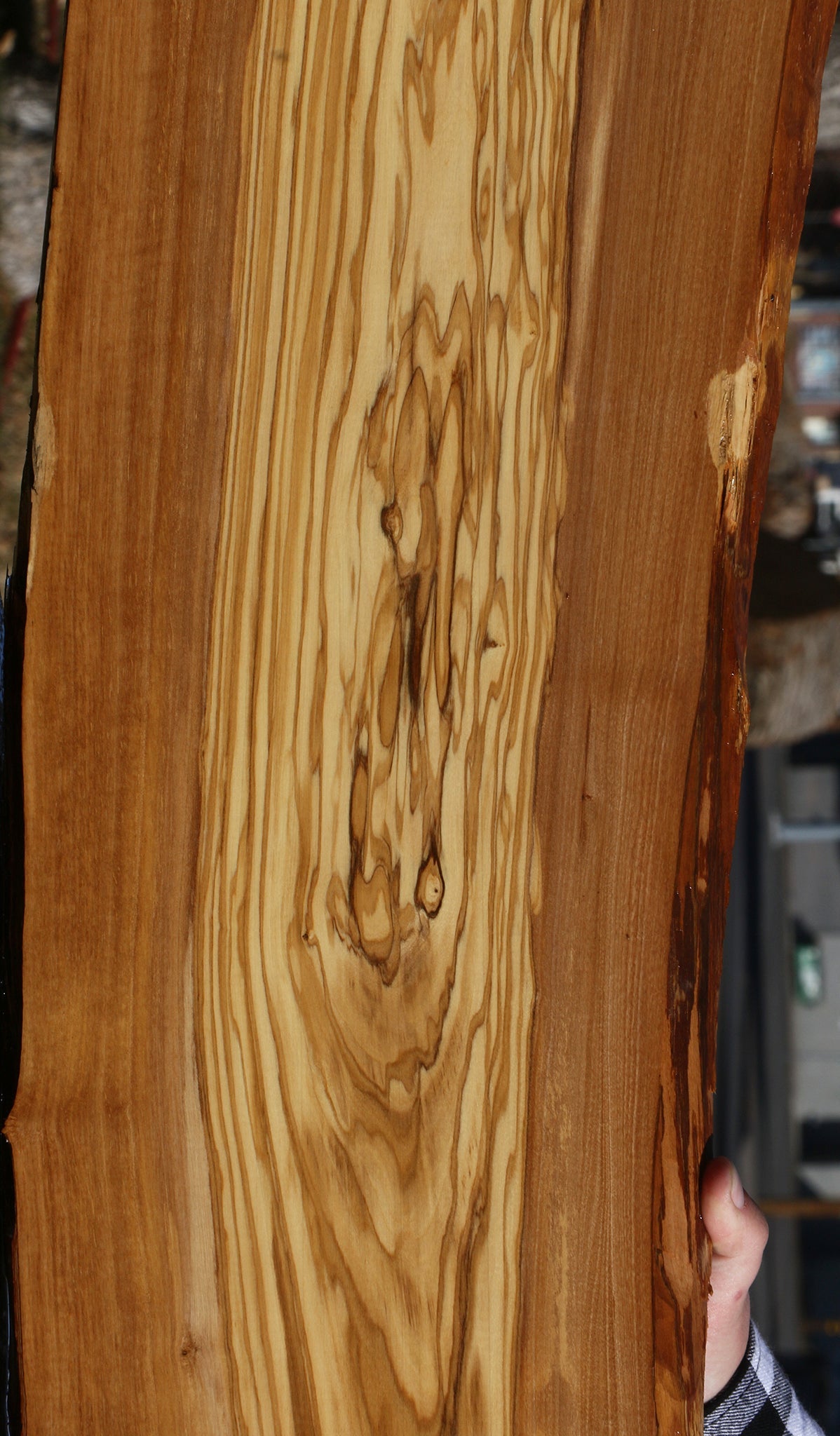 Italian Olive Live Edge Lumber