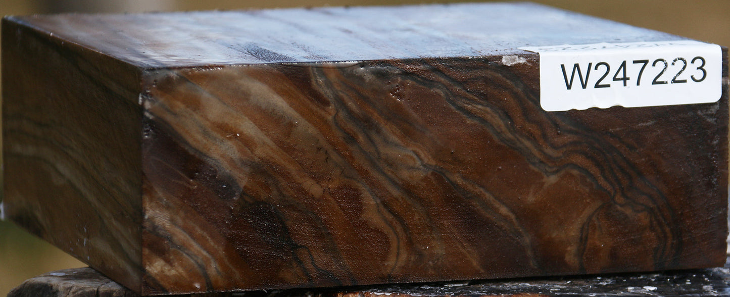 Extra Fancy English Walnut Bowl Blank