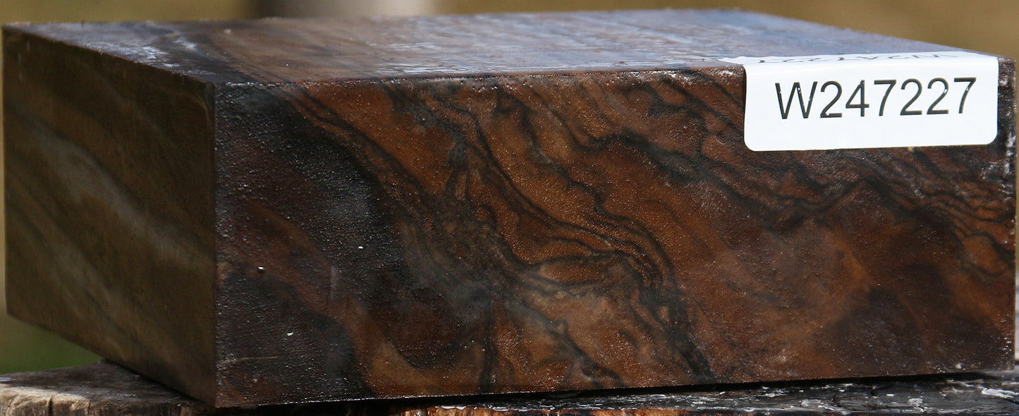 Extra Fancy English Walnut Bowl Blank