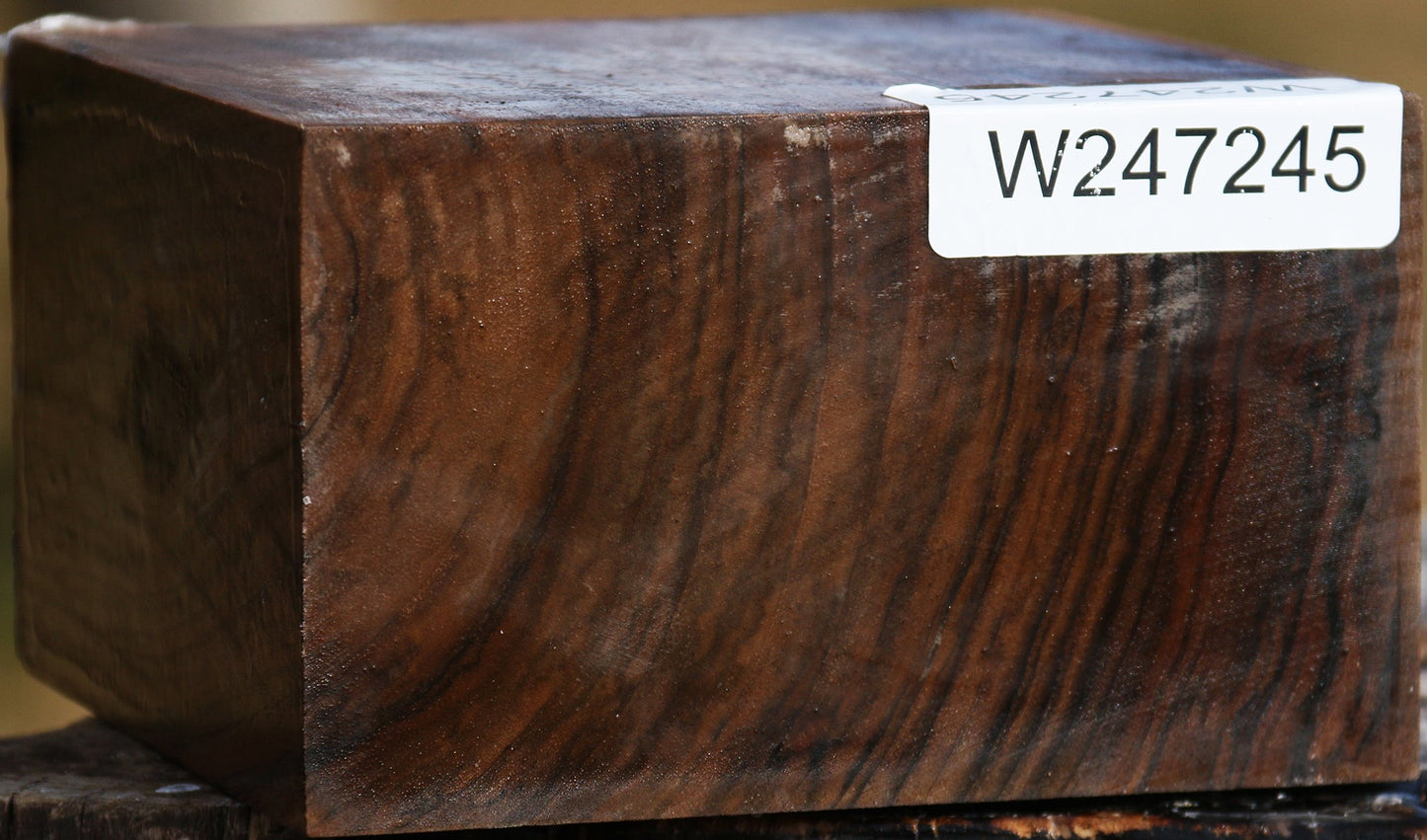 Figured English Walnut Bowl Blank