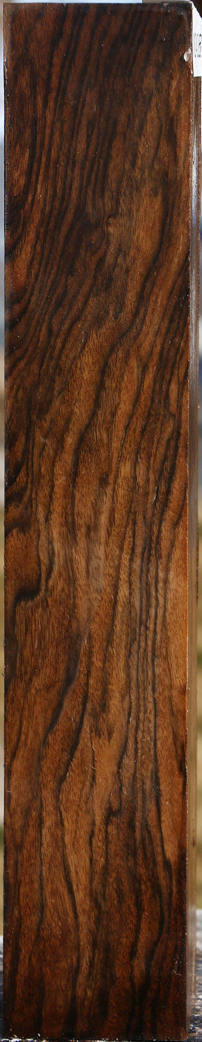 Extra Fancy English Walnut Forend
