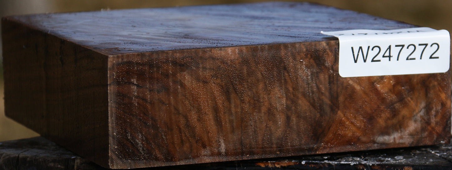 Extra Fancy English Walnut Bowl Blank