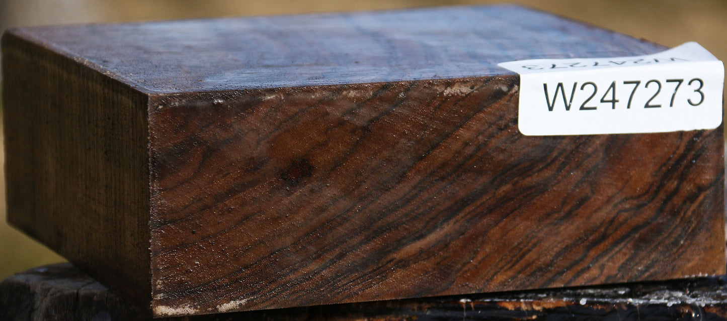 Extra Fancy English Walnut Bowl Blank