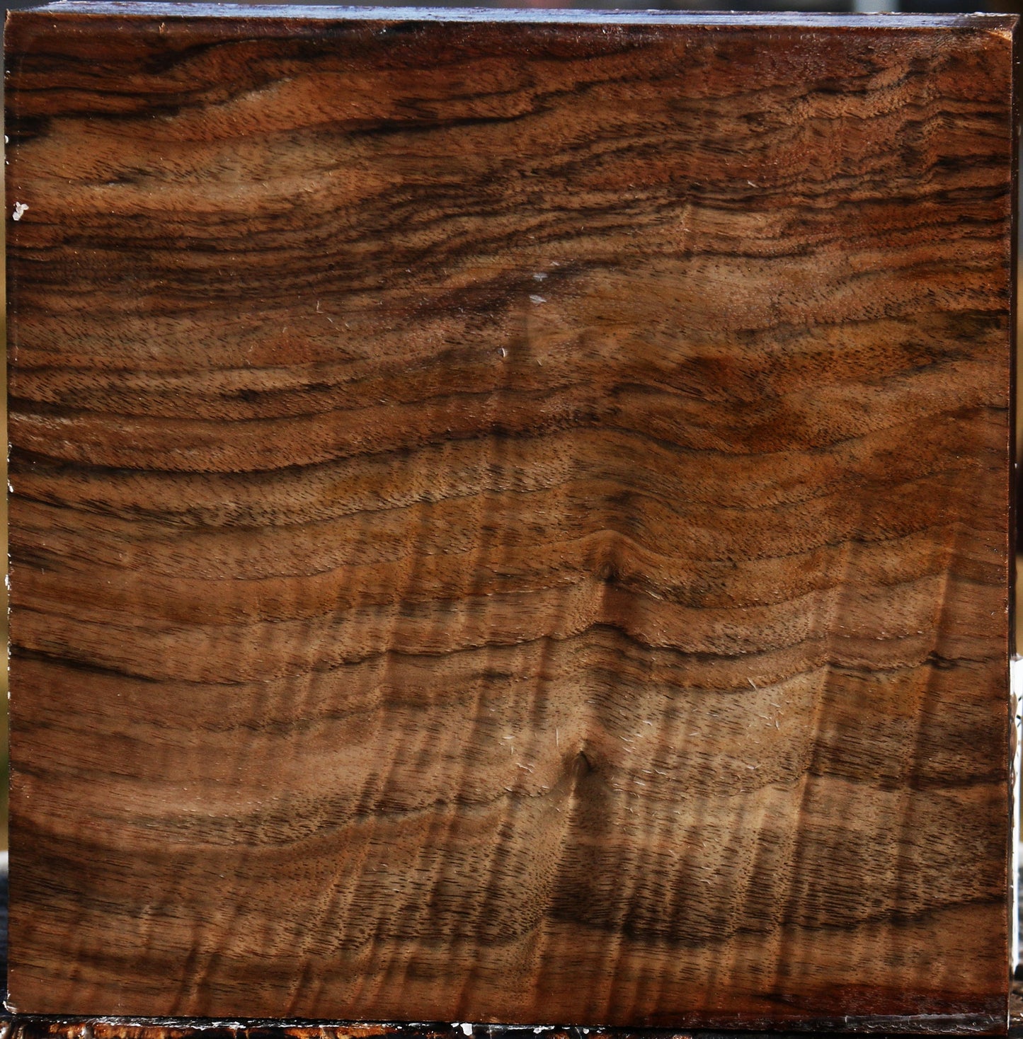 Extra Fancy English Walnut Bowl Blank