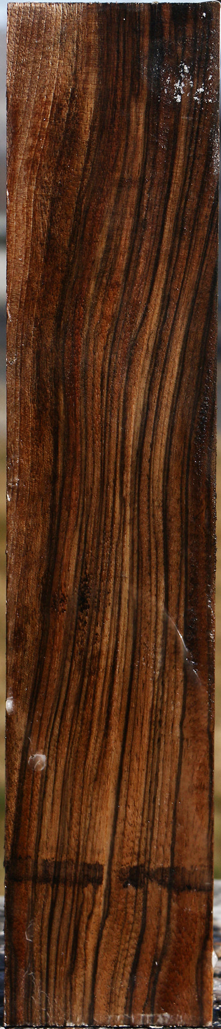 Extra Fancy English Walnut Forend