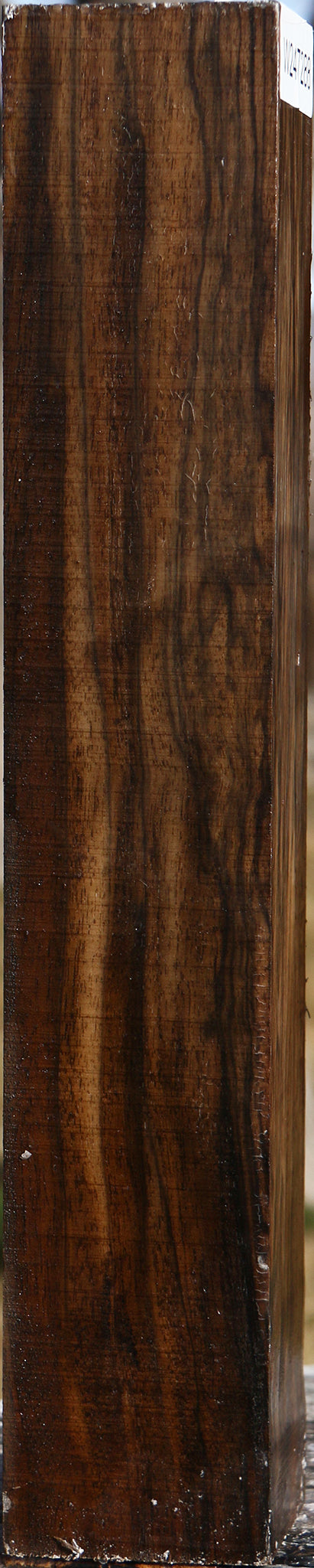 Extra Fancy English Walnut Forend