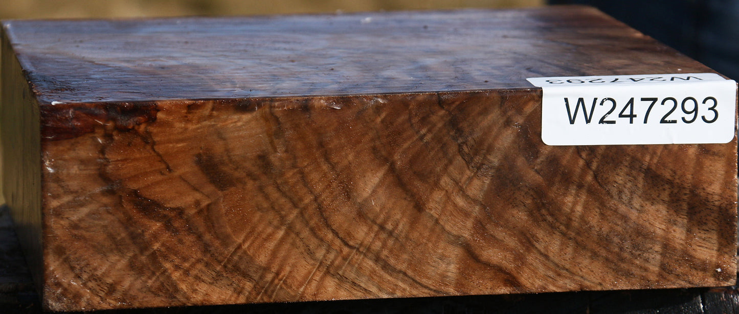 Exhibition Crotchwood English Walnut Bowl Blank