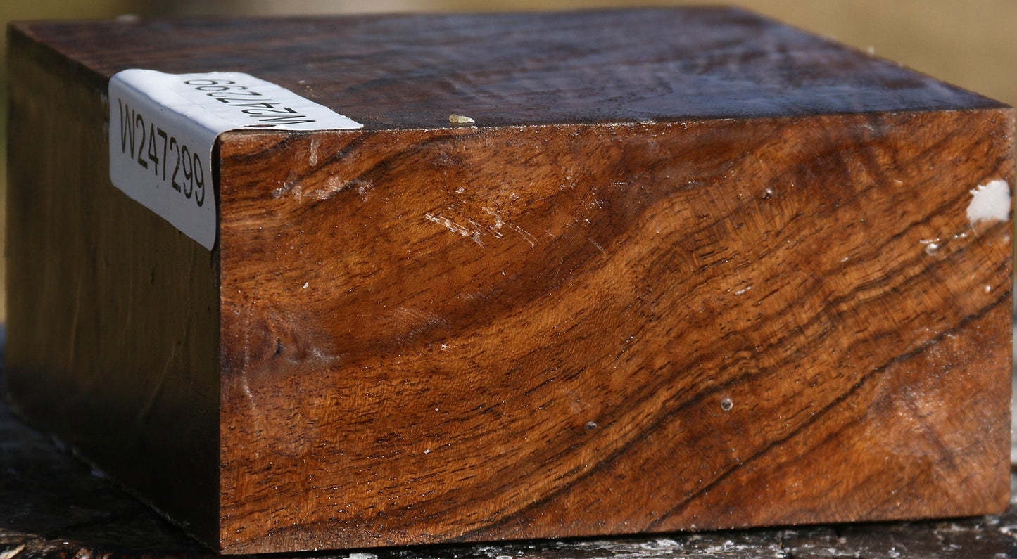 Extra Fancy English Walnut Bowl Blank