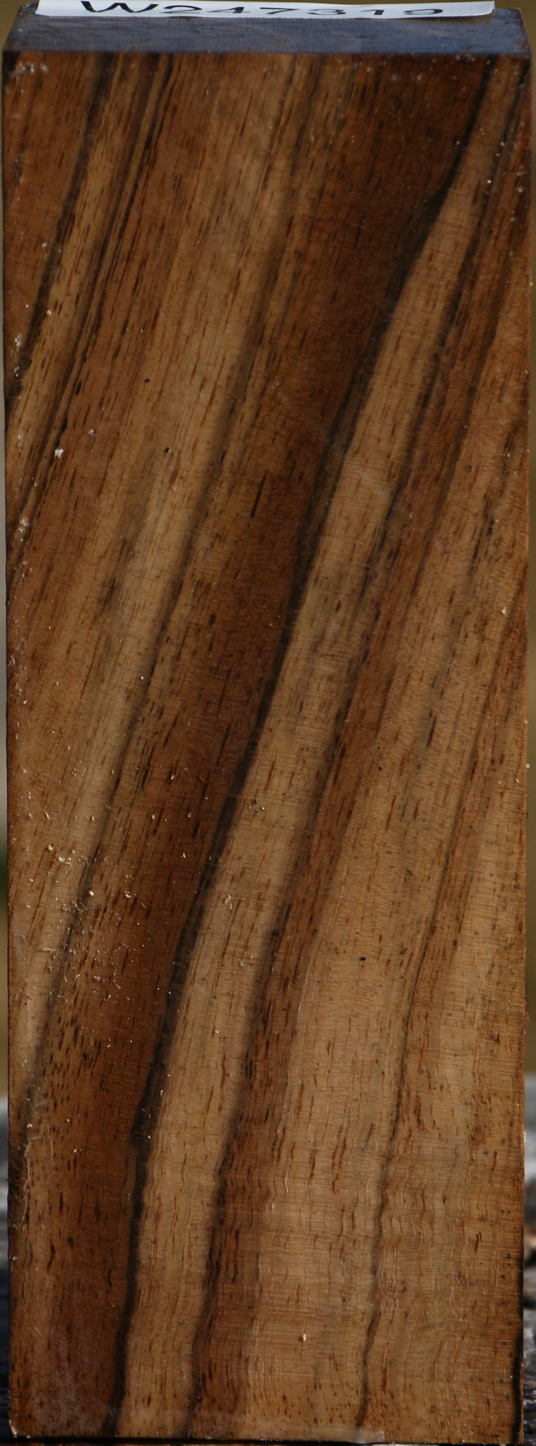Extra Fancy English Walnut Turning Square