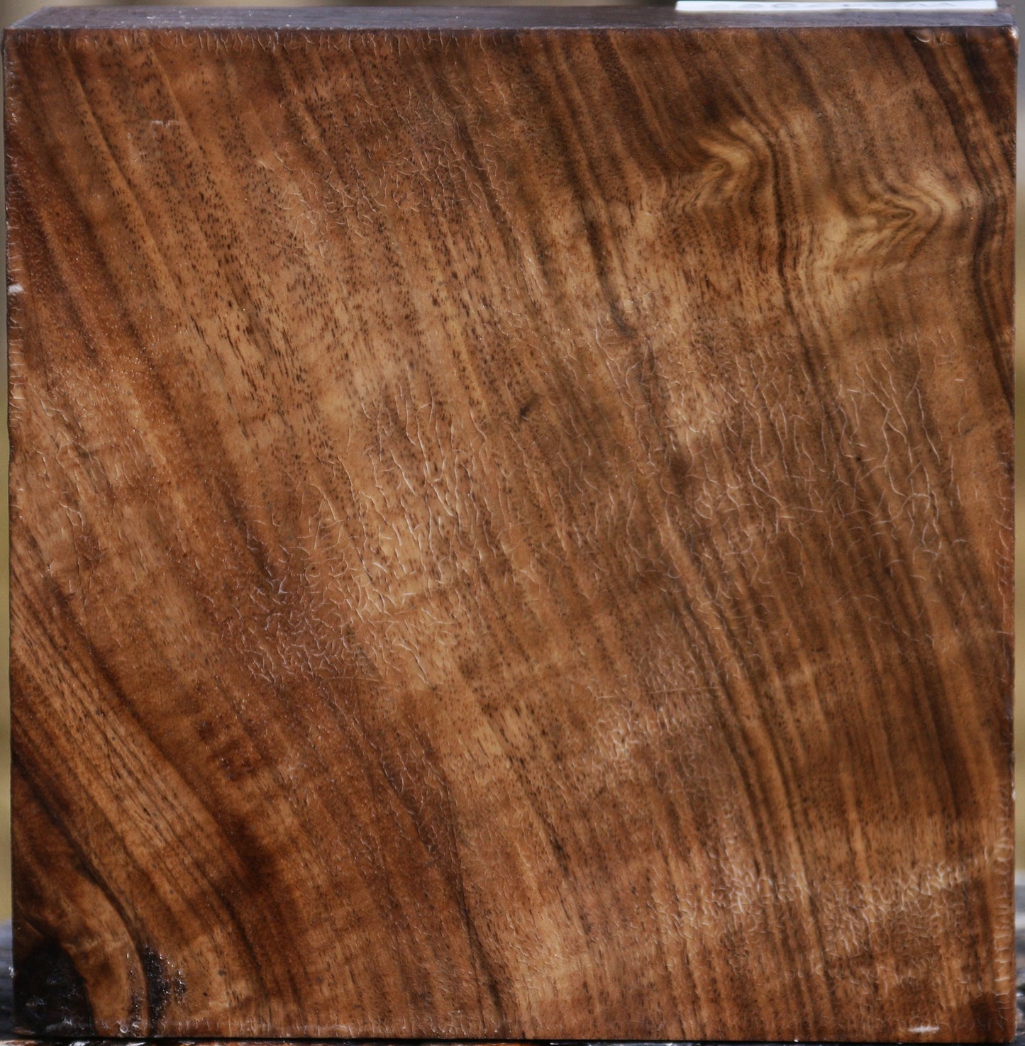 Figured Claro Walnut Bowl Blank